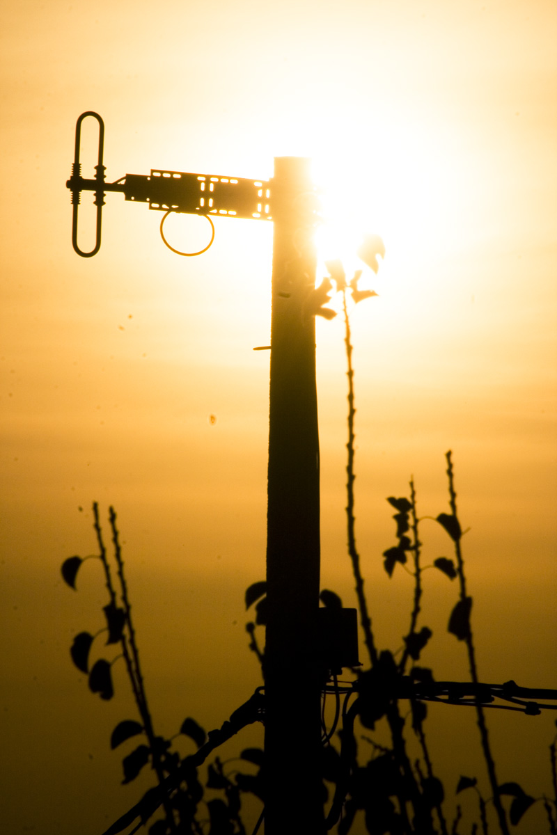 An extreme or irrational fear of or aversion to something