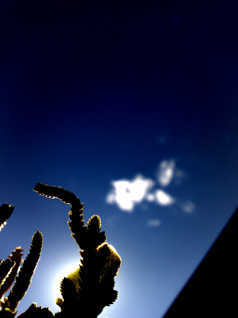 the'B | R | A | K | E - [pleasant warmth]