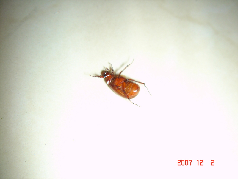 psssssssssssssssssssssssssssssss...dead