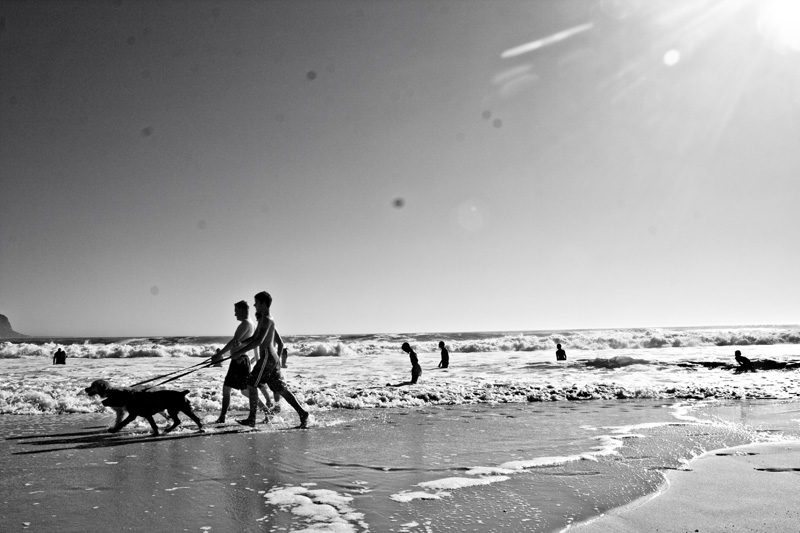 To be without some of the things you want is an indispensable part of happiness*