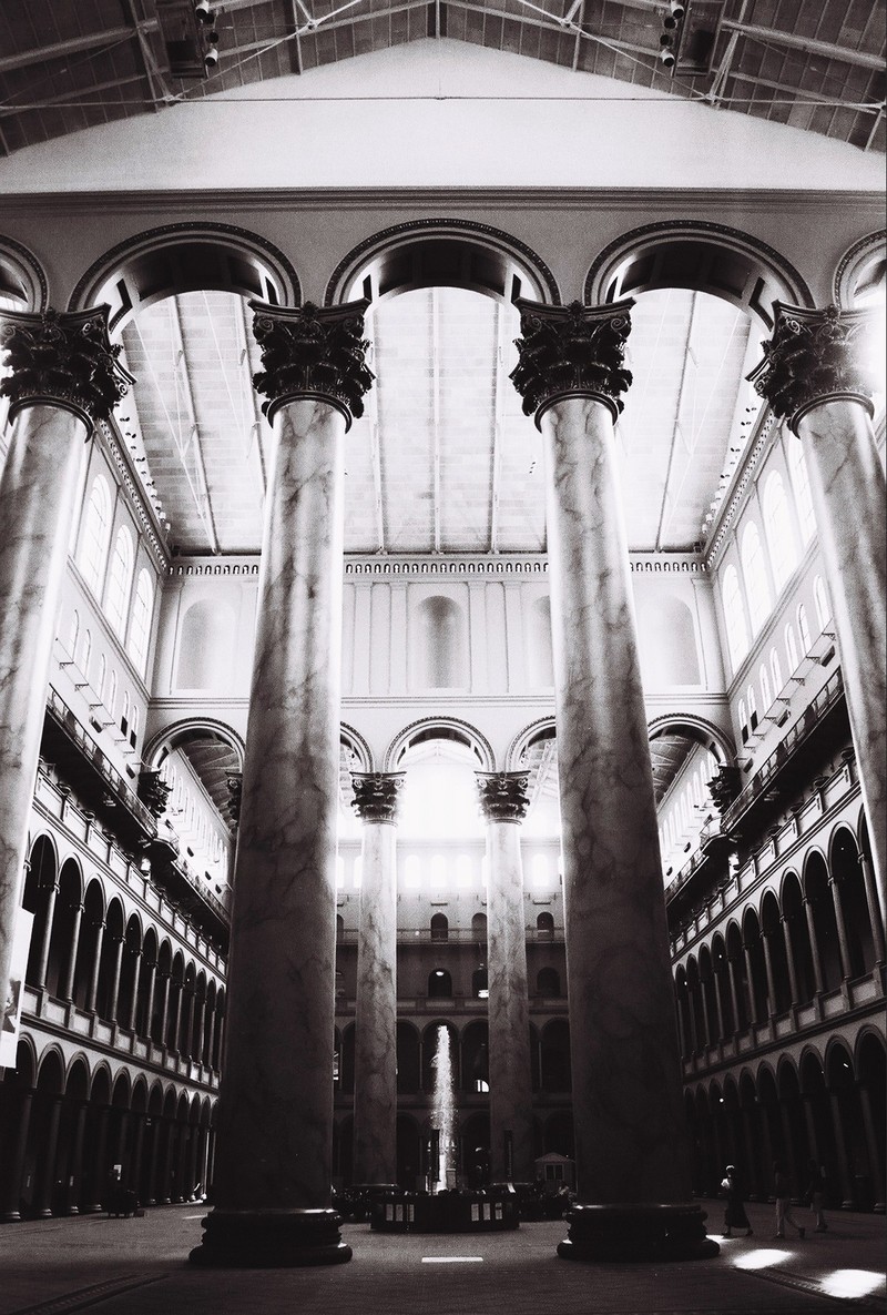 my insects movements vary*