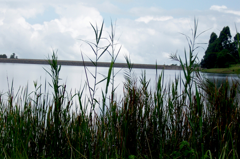 TravellingMan - RoadTrip Zomba [5]