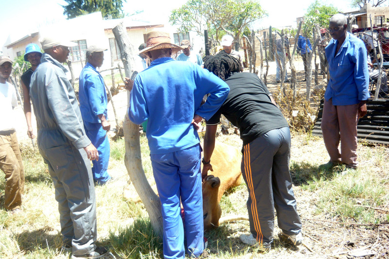 Unveiling of the tombstones---kwa Madiba