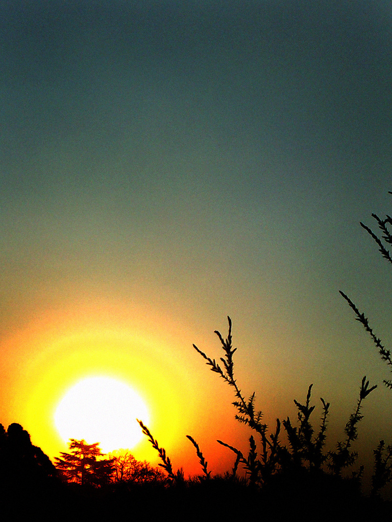 out'the window (lé view)