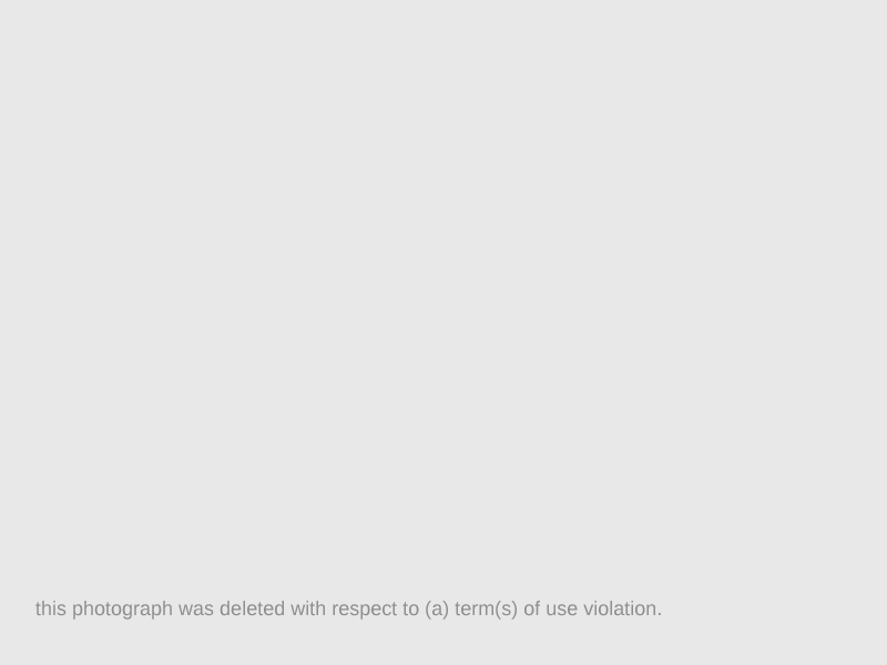 Roots (deleted: 75th terms of use violation)