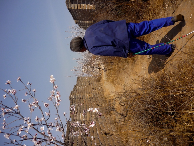 walking the wall, with a local, this section s somewhat forgotten, and attracts a certain kinda people to come and see the way nature reclaims space-