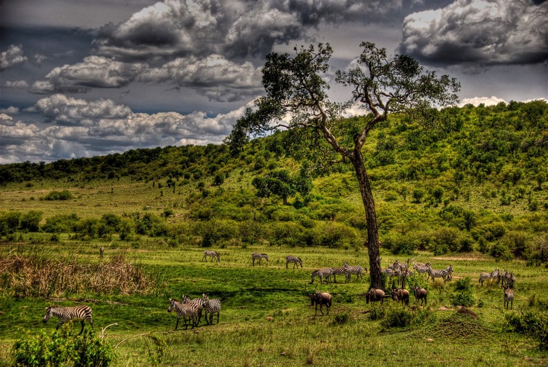 HDR is Masai Mara