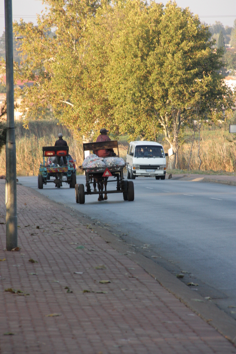Horse and Cart - Phototripping