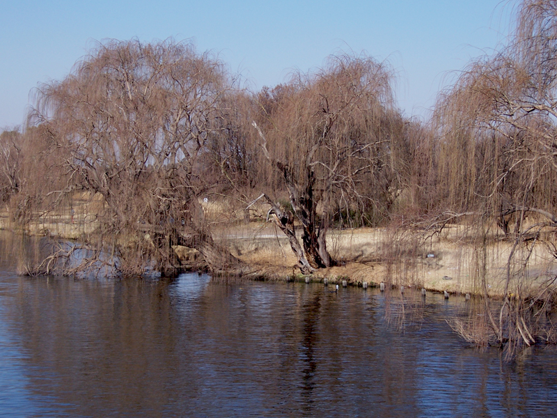 Reflection [2] -- Lonely Planet