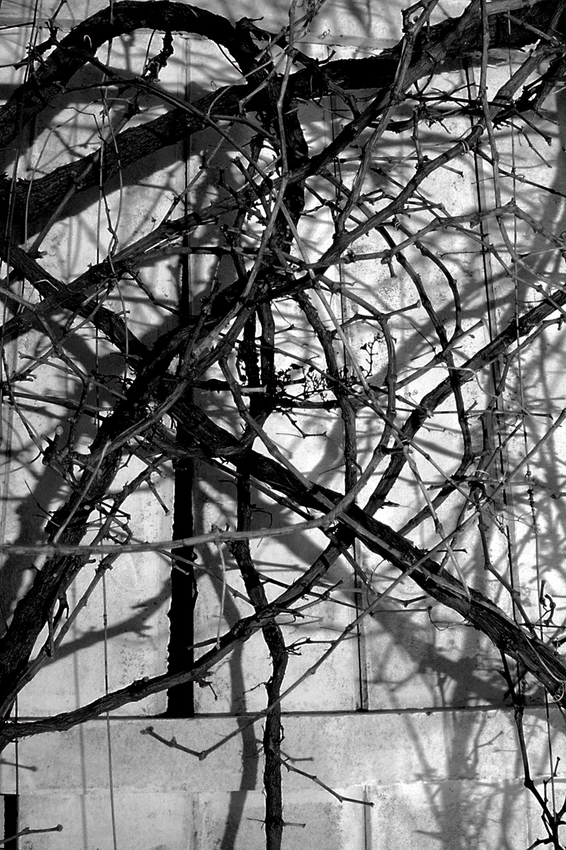 Reflection # 4 (120 seconds on Pollock)*