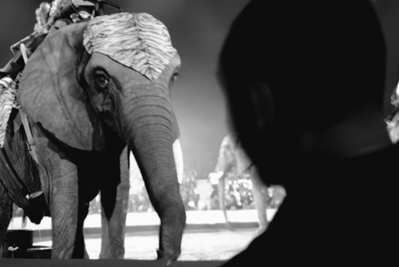 and the ones on top, won't make it stop*