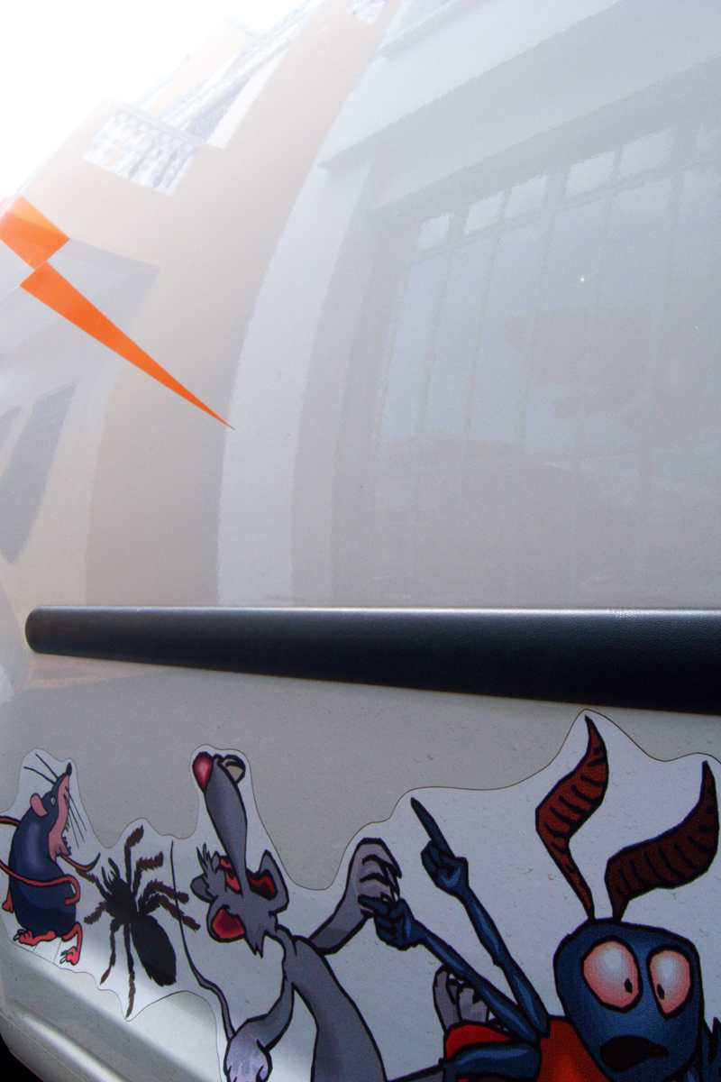 Reflection # 5 (Zapped)