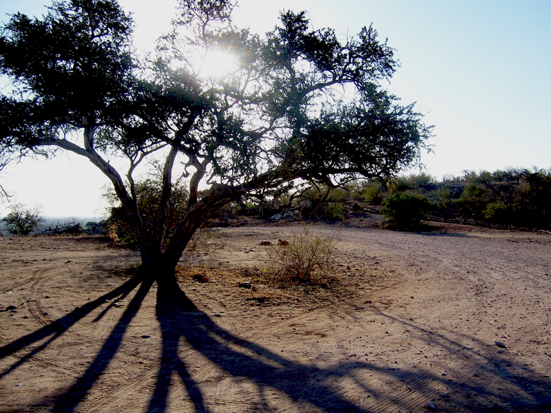 Reflection [6] -- Circular References