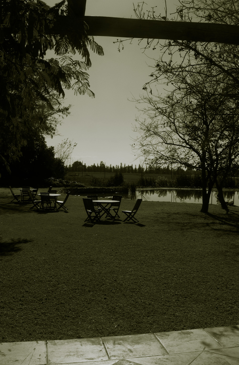 reflection#2- ekudeni