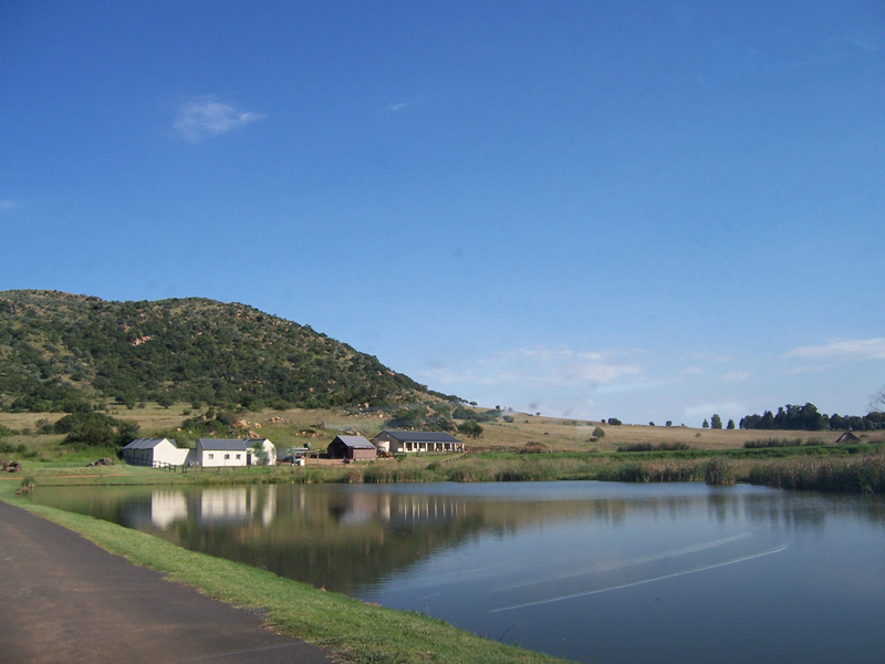 Reflection [10] -- Easy