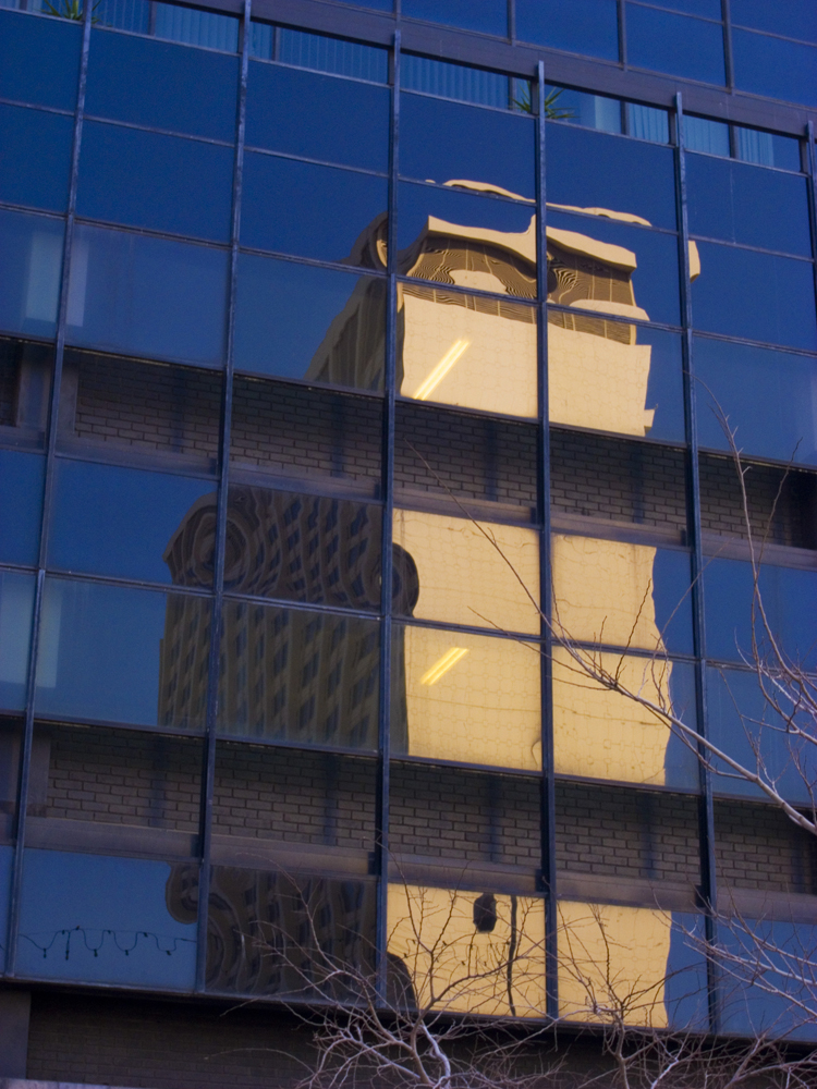 Reflection # 10 (metamorphosis)