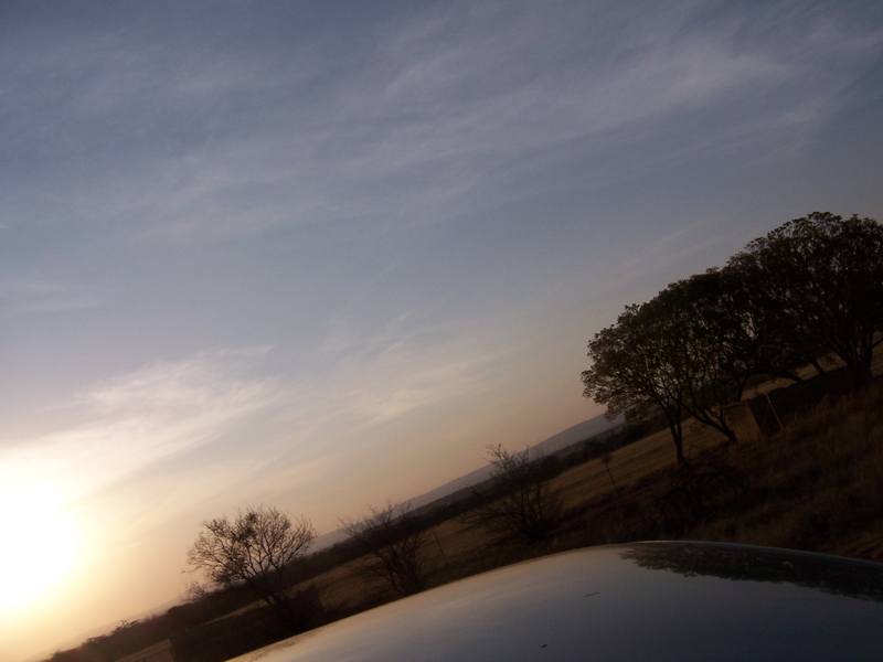 Reflection [11] -- Move