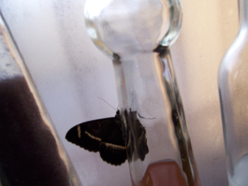 Reflection [15] -- Flight