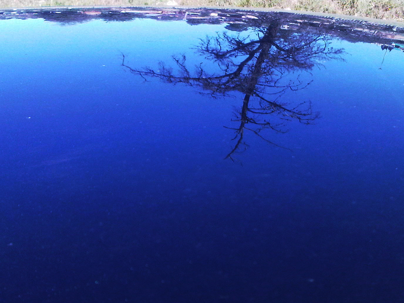 Reflection of Self [2]