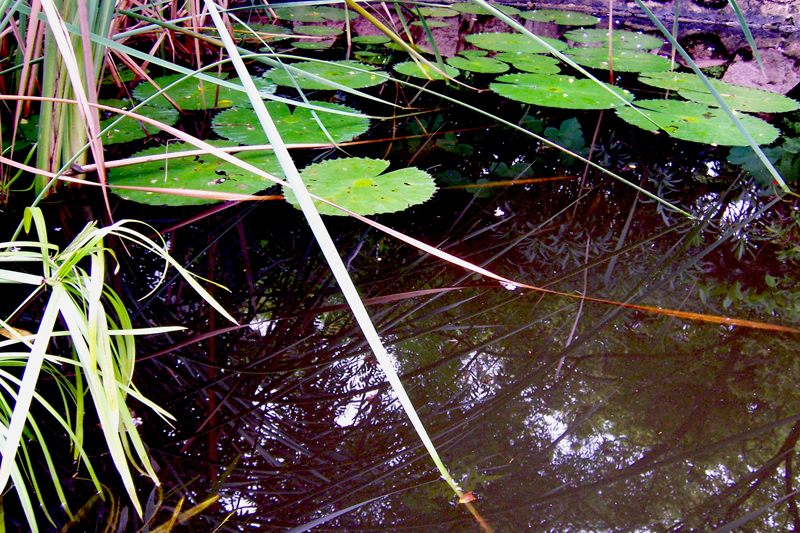 Reflection [17] -- HopSkipJump