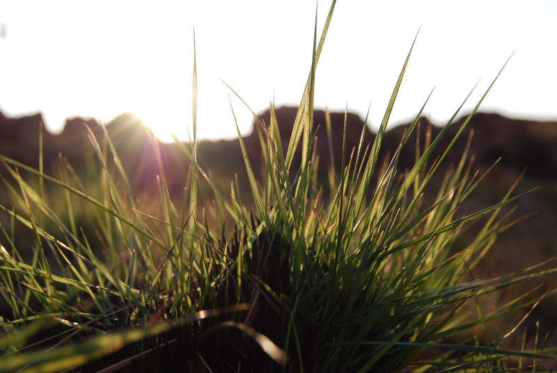 A new day has dawned!!