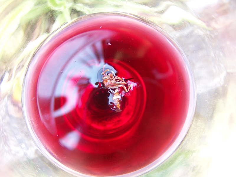 Fatal Attraction.......