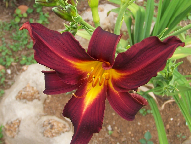 Burning from within.......