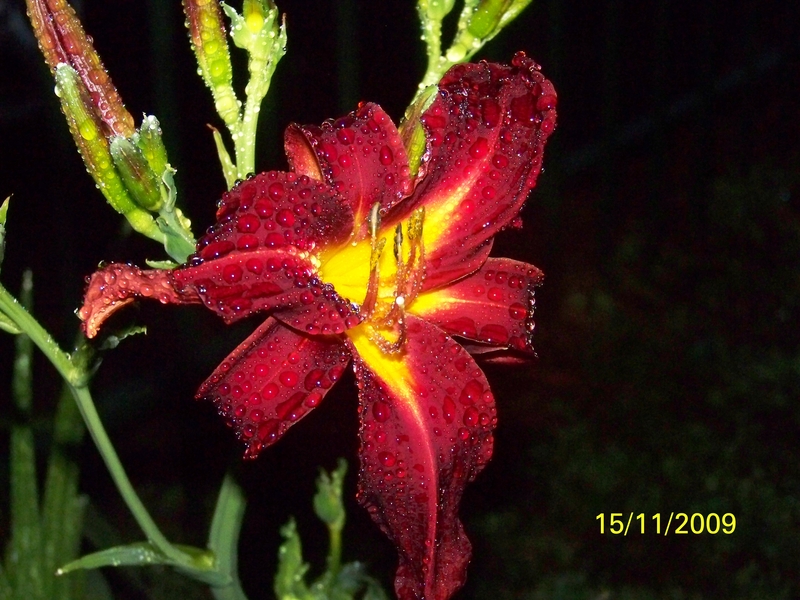 Rain drops down my skin....!