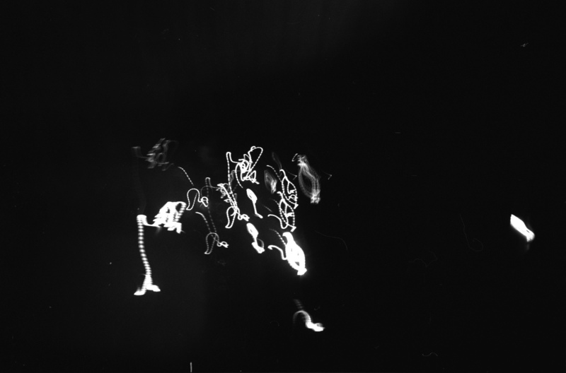 x-y chromosome: the big bang theory