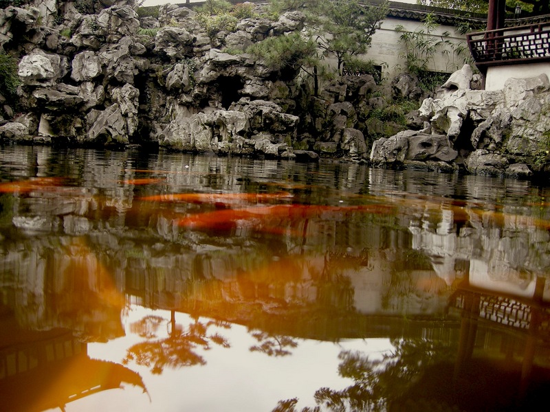 in a 400year old garden