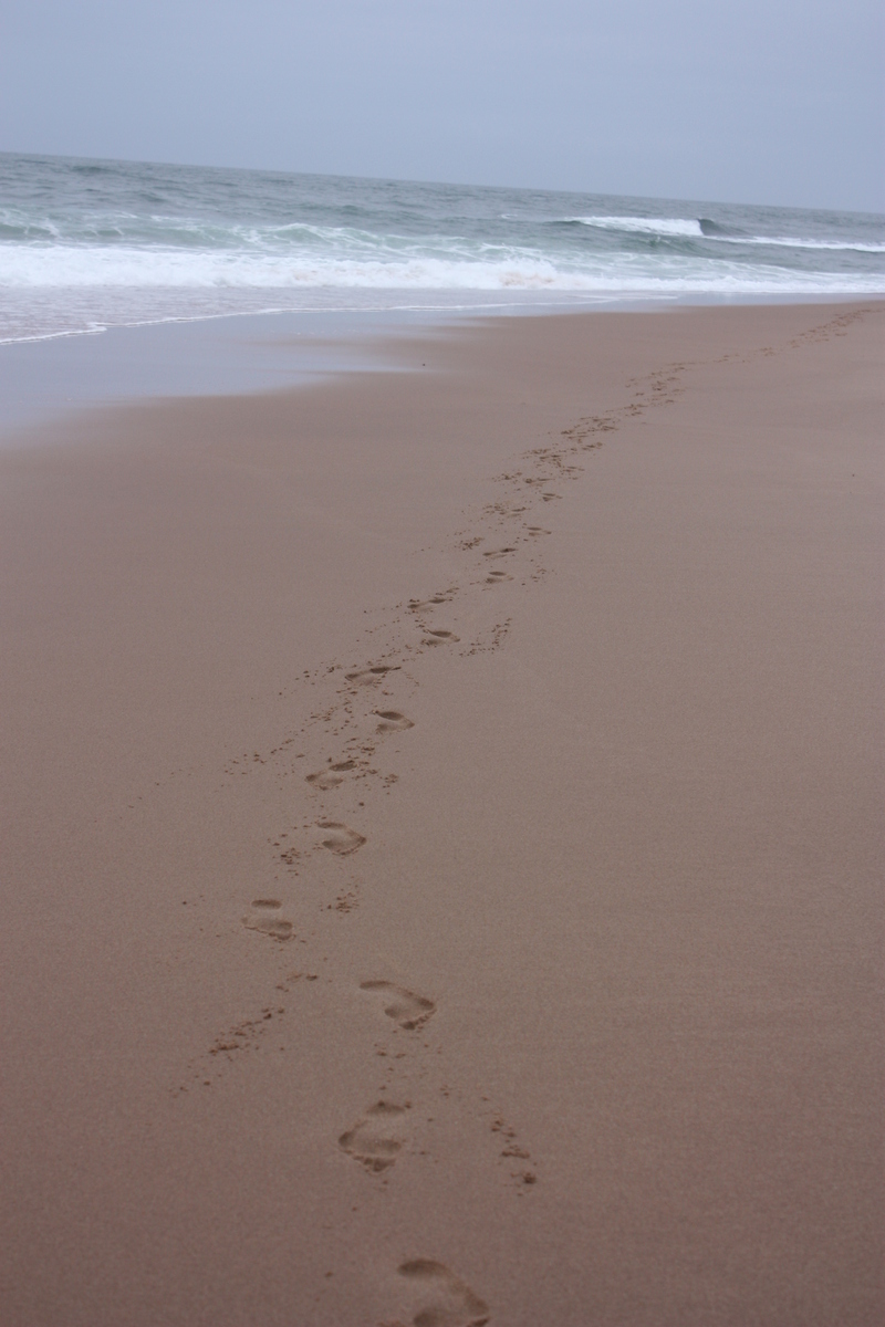 I wish I were back on Holiday