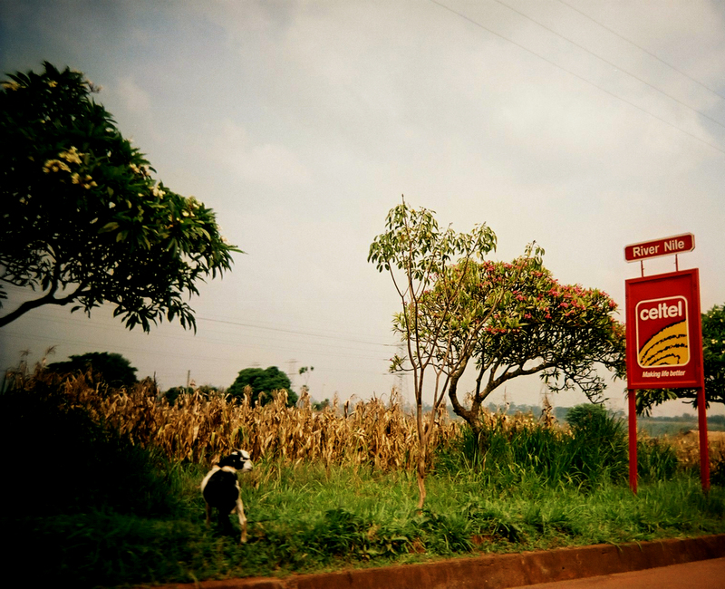 EnvironMarketing [2]