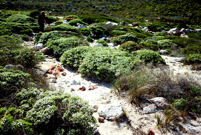 Things to do during the Three-hour Standoff