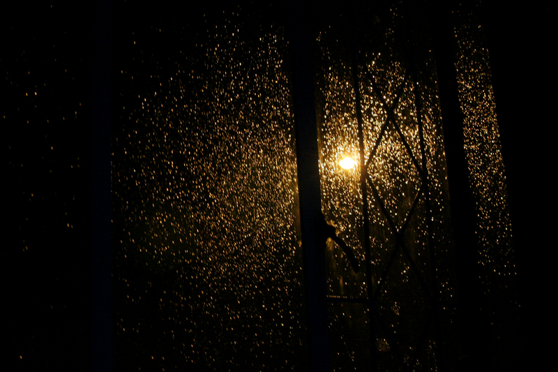 Night, Window, Droplets and Light
