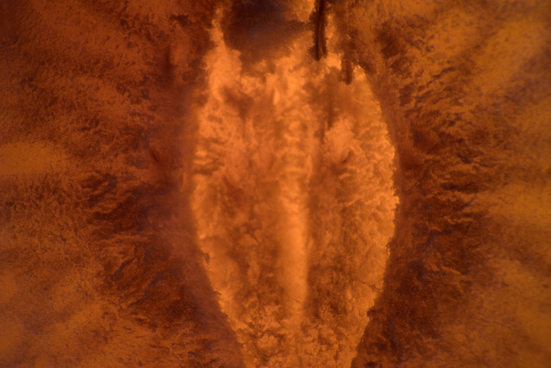 3 Dimensional Fantasy