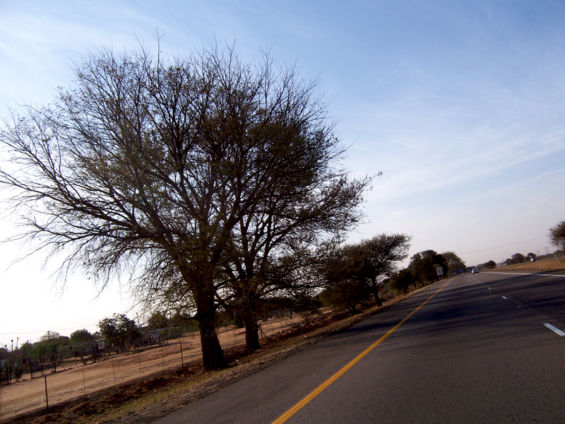 Tracks [11] - Measure of a Man