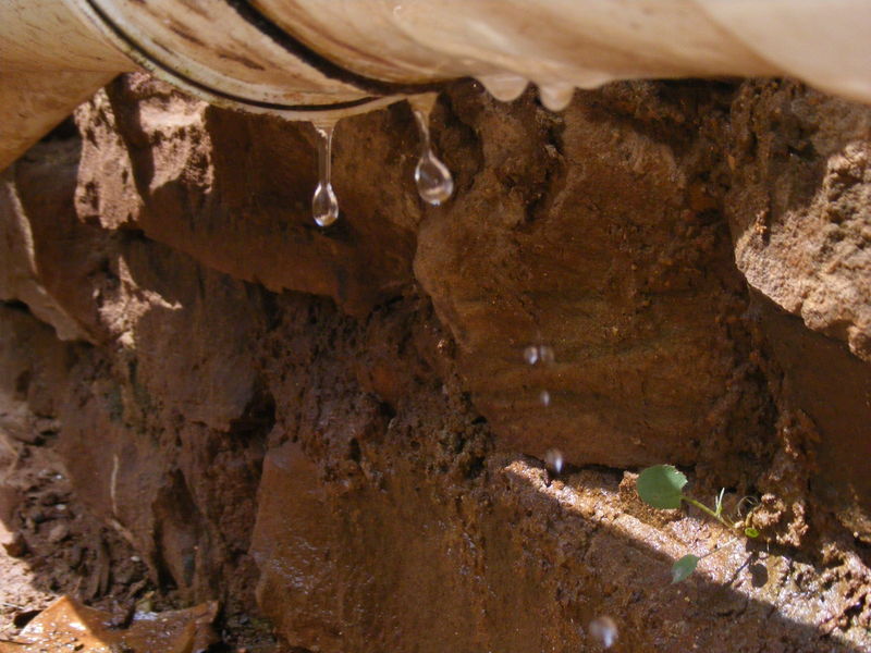 drip drip drip fast shutter