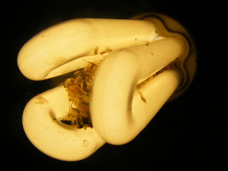 Light at the end of the tunnel.