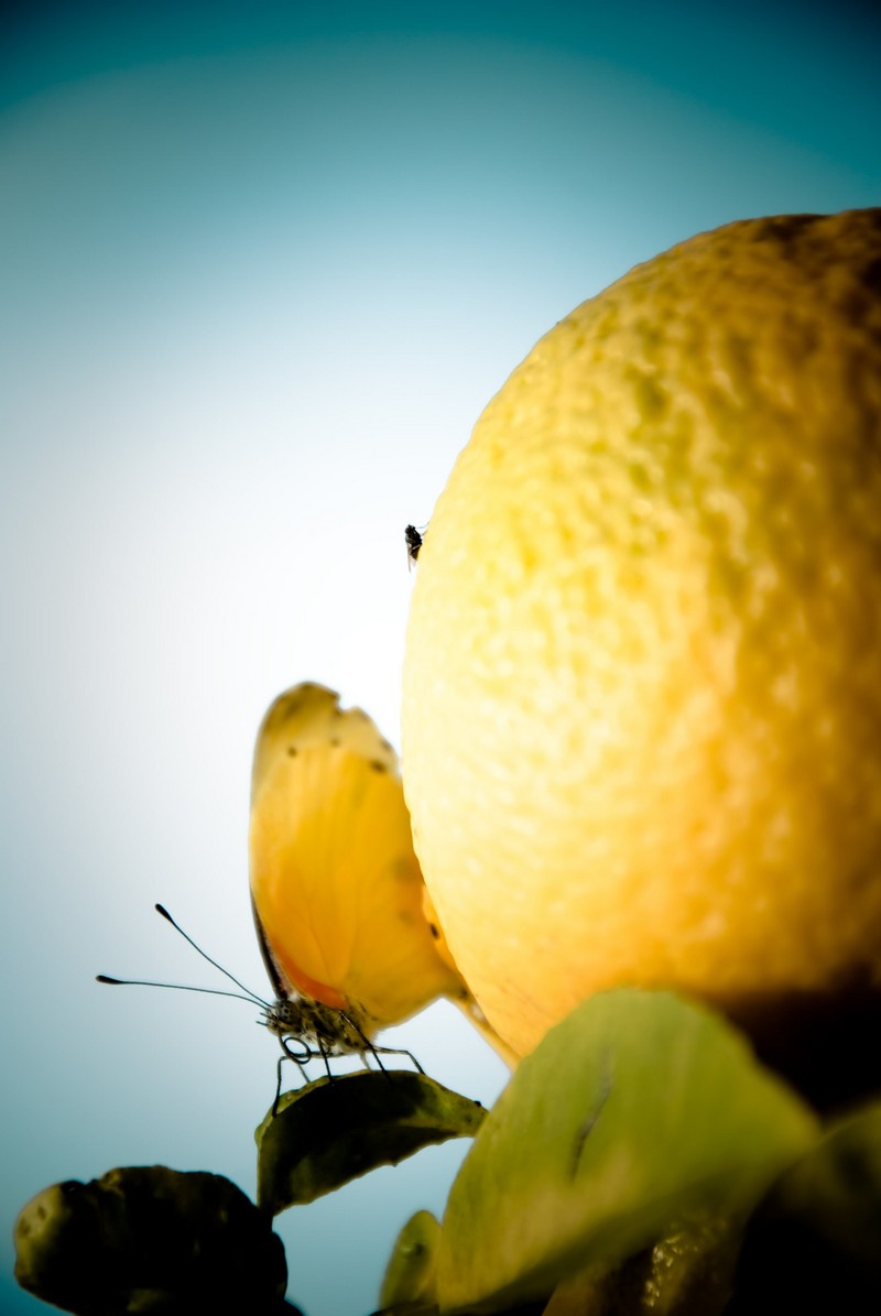 Fancy meeting you here