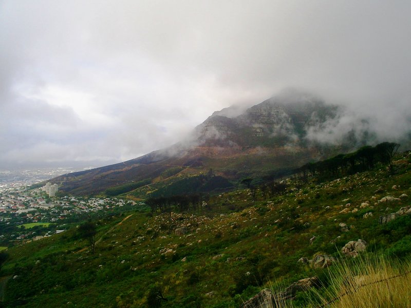 The visit [2] Love is blind?