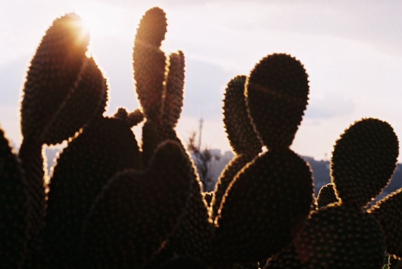 Something in the way of things (In town)