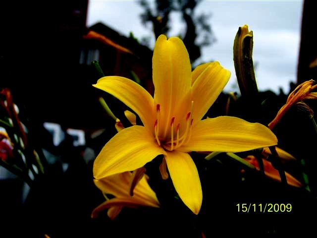 As Bright as you can be....