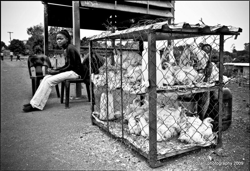 Rofhiwa selling chickens