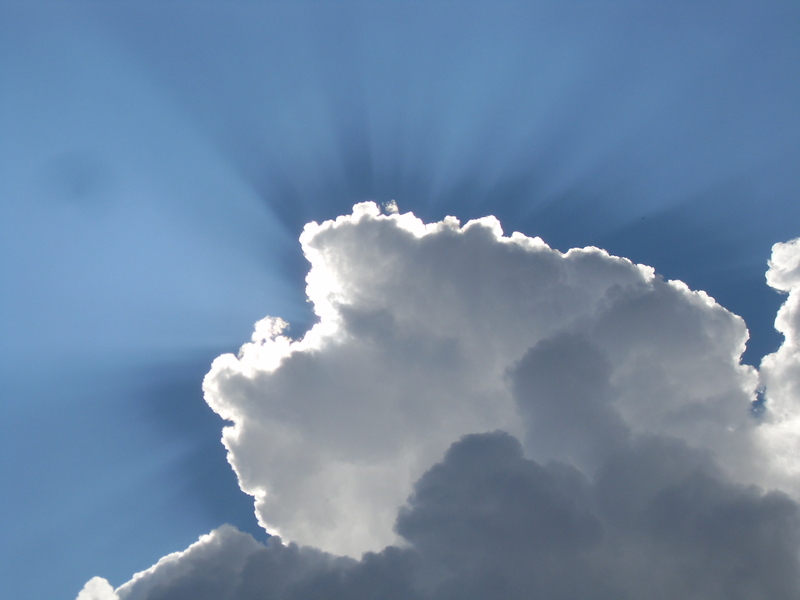 Look busy, Jesus is here!