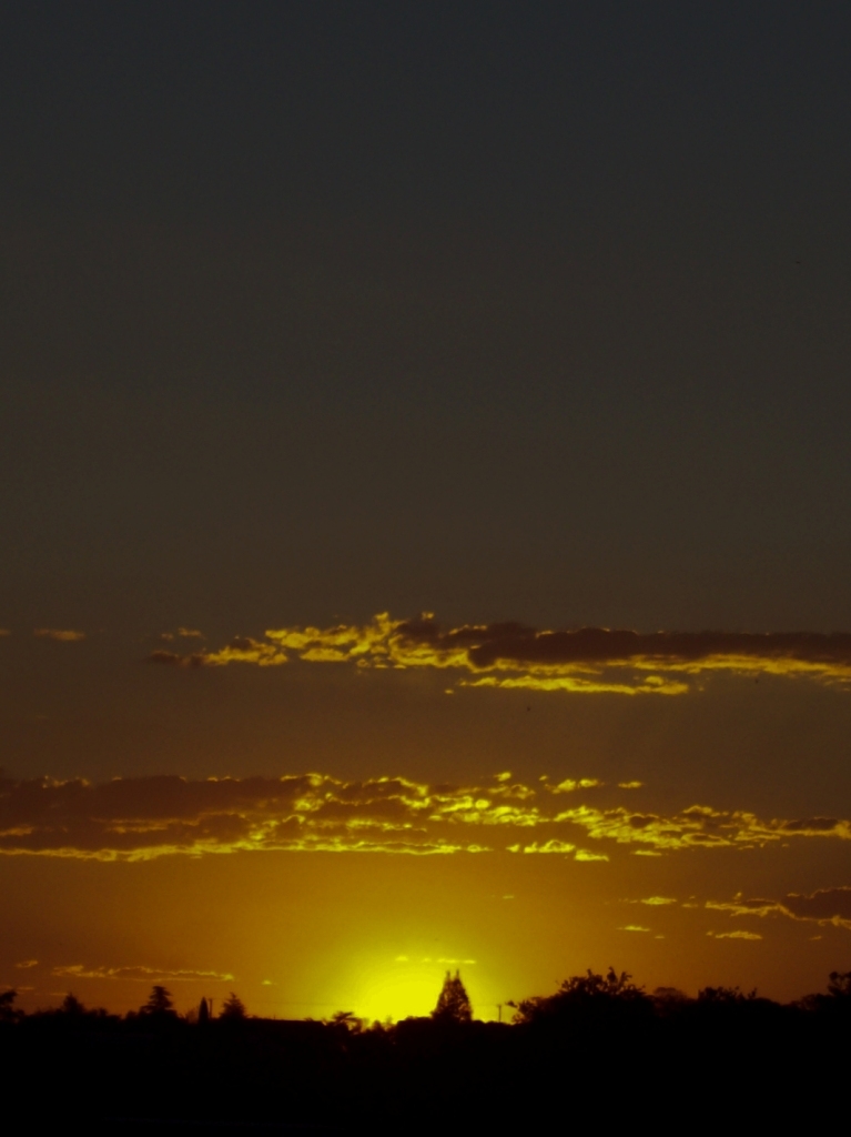 She never sleeps, she waits