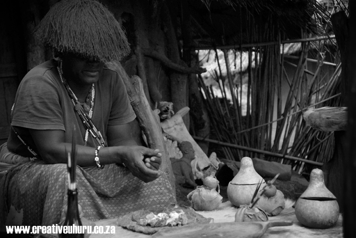 Diary of a wise black woman