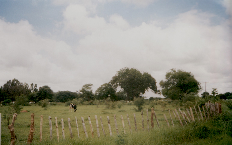 TravellingMan: Zambia [2] Wholesome