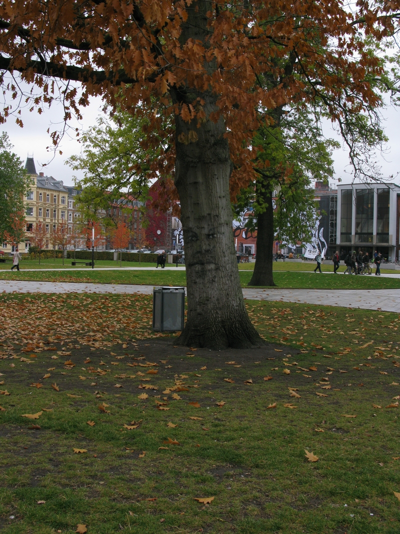 i went for a walk on a winters day -----