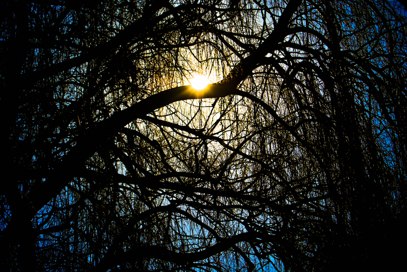 the breakthrough (?)