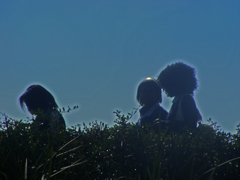 Are you gossip worthy